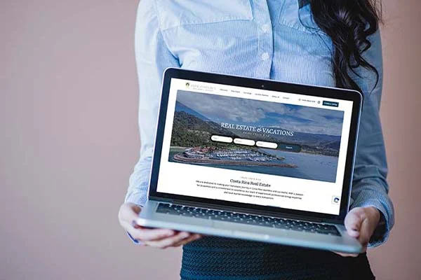 Website Subscription Buyout Process