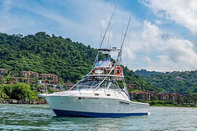 Online reviews on your website. | Pacific Creative Studio Online Reviews & Reputation Management: Why Costa Rica Tourism Businesses Can’t Ignore Google & TripAdvisor Pacific